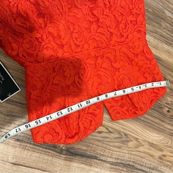 NWT J.Crew Cathleen Strapless Dress in Leavers Lace - Picture 7 of 9